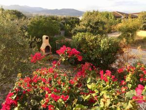 Bellavista-Holiday-Home img12