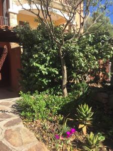 Bellavista-Holiday-Home img14