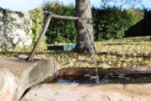 Passion Horses House FC