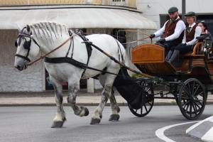 Passion Horses House FC