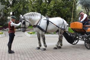 Passion Horses House FC