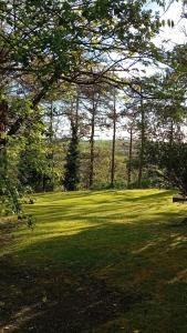 Villa Giglio prestigiosa dimora - Parco e piscina - Latera - Lago di Bolsena