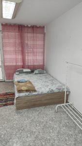 Апартамент неделчев