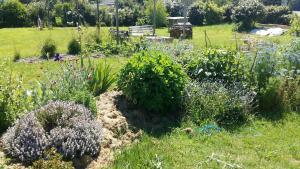 Maisons de vacances Au bord de la Ria : photos des chambres