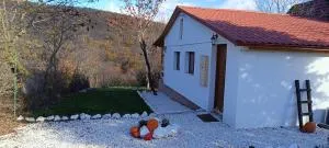 Hilltop Cottage in Szentendre, mountain view, terrace, garden - 勒亚尼法鲁