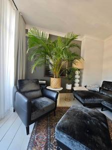 Apartament Perłowy