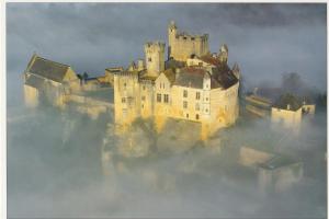 Appartements Charmant duplex vue exceptionnel sur la Dordogne : photos des chambres