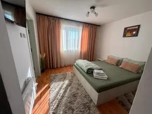 One Room Apartment Ptm 2 - Pantelimon