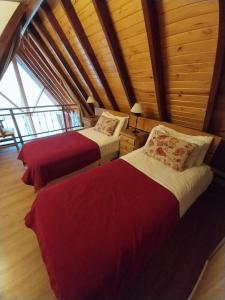 Cabaña bosque y rio