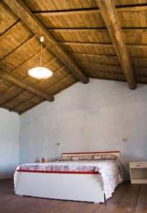 Antico Stazzo Gallurese Lu Capitanu