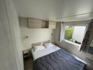 Campings Camping Le Solitaire du Lac : Mobile Home