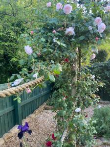 6 Northfields Close Family Household