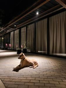 1 Relax, luxury room, everything you need