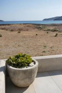 Ganema Beach Paradise Poseidon