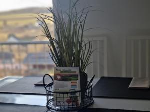 Wellnesshaus Dorfblick mit Outdoor-Jacuzzi und Infrarotkabine