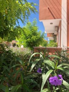 Panagiotis Studios 2