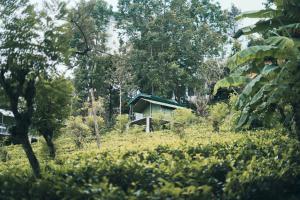 Radiance Ella Urban Camping