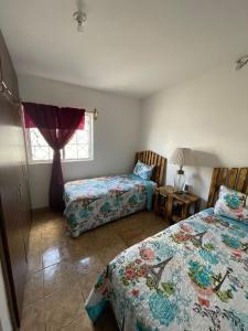 GR20acd Corredor Comercial