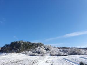 Domek Amelia -Bieszczady