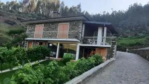 Estúdio de Amor - Burgo