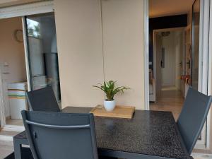 Bagatelle Studio 3étoiles rez de jardin Axelle LocAppart