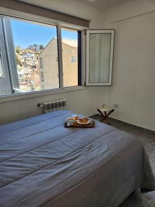 VistaSur - Departamento con vista al lago