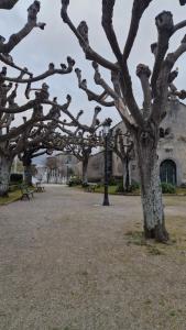 Apartamento Figueras