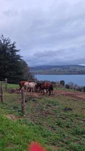 Apartamento Figueras