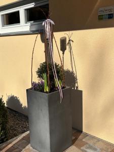 Tischneck Chalets - TraumFerienhäuser im Schwarzwald - Chalets Riva & Limone
