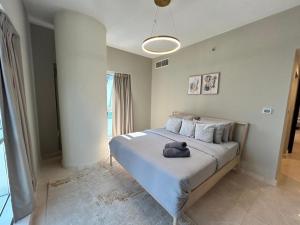 Spacious 1BHK Apartment, Near City centre