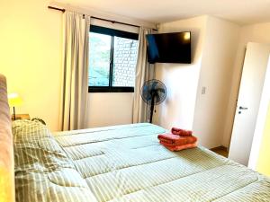 Hermoso departamento entero 2 Dormitorios con cochera B Urca