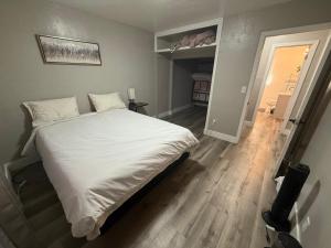 Sparkly Downtown Apt with Free Parking