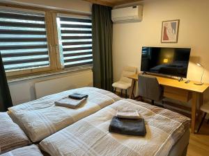 Apartment in Saalfelden near Ski Slopes