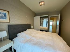 Apartment in Nieuwpoort with sea view