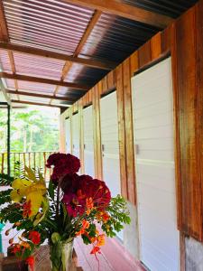 Amazon Renaco Lodge