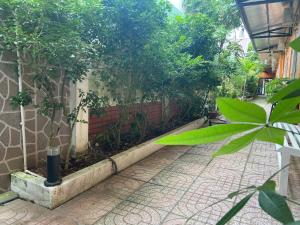 Thien Phu Nghia 1 - Homestay Phu Quoc