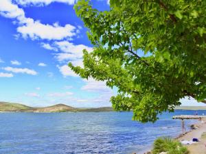 Apartment in Bilice near Krka National Park