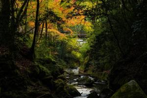 Kurama Onsen