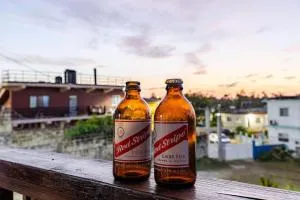 Free Airpt Shuttle HOT Roof Top Vibe Ocean Views Swimming Pool Sauna - نيغريل