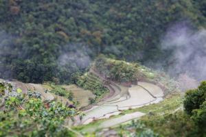 Overlooking the Rice Terraces