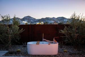 Steel & Solace By The Cohost Company