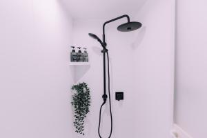 Minimalist Loft 8 Namba Compact Studio and Gym MA803