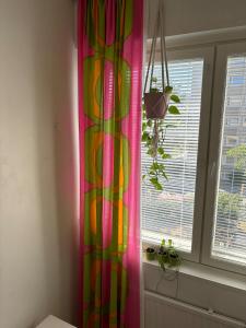 Compact pretty apartment, great location