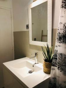 Grand T2 ambiance Cosy