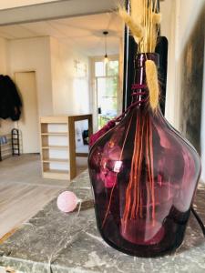 Grand T2 ambiance Cosy