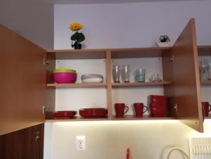 Orange Studio on Sunny Day 6 Complex