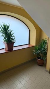 BB Borgo Biella Tree
