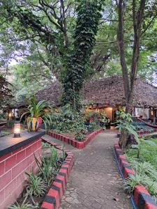Ibrahim Garden Hostel