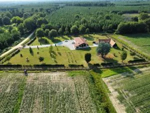 Chambre Nature - Lacquy