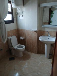 بيت الشباب الاسكندرية